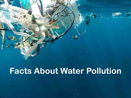 Please, try to prove me wrong i dare you. Facts About Water Pollution Everything You Need To Know Topessaywriter