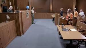 Pet judge is an american streaming television series starring gary busey. Gary Busey Pet Judge Se1 Ep4 Hurting Turtle Dailymotion Video