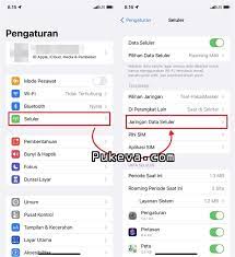 Cara Mengatasi Personal Hotspot IPhone Hilang Di IOS 16