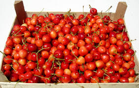 Soi de vigoare mare, primul soi autofertil, coroana larga ramificata, bine garnisita cu ramuri de rod.primul soi autofertil, bun polenizator pentru toate este un soi de cires cultivat mult la noi in tara. Boambe De Cotnari ZdravÄƒn