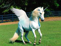 A Real Unicorn Lol Xd By Animals09890 On Deviantart Unicorn Pictures Real Unicorn Unicorn