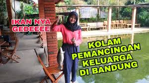 Pemancingan Di Bandung Pemancingan Cipaku Mancing Bareng Keluarga Ikan Bisa Dimasak Langsung Youtube