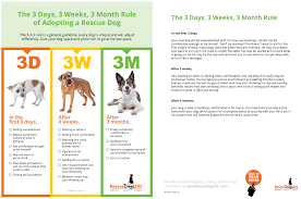 Find hotel, b&b, motel and other lodging and adopting a new pet should be an exciting and rewarding experience. Resources