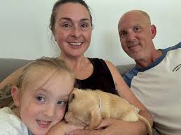 Lainey, from Kai and Briggs litter, has been delivered by our puppy nanny  to her home in North Carolina! Lainey will reside with her “brother”  Maverick, from Holly & Archie's litter.