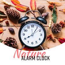 Value brand rocam vibrating loud alarm clock with bed shaker, best sounds, large led display with dimmer, 7 colored night light, dual usb. Nature Alarm Clock Wake Up Sounds Gentle Awakening Happy Morning Album By Sound Effects Zone Spotify