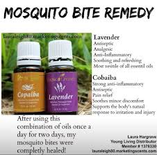 A Little Recipe I Put Together For Some Really Bad Mosquito Bites Had To Share Essential Oils For Mosquitoes Yl Essential Oils Living Essentials Oils