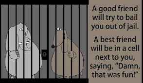 Check out some great friendship quotes that capture the true spirit about being there for each other. 20 Best Friend Quotes Funny Enough To Share For Friendship Day
