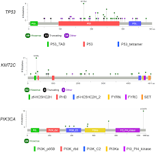 Tumor Mutational Profile Of Triple Negative Breast Cancer