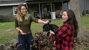 It is the smallest otter species in the world and a member of the otter subfamily lutrinae, itself part of the mustelidae. Exclusive Otter Attacks Girl Dog In Lakeland Home Wfla