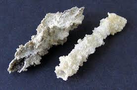 Roger Russell S Central Florida Lightning Page Fulgurite Rocks And Crystals Gems And Minerals