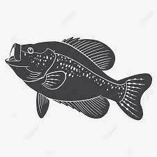 Tentu saja contoh tema acara kebersamaan memang telah banyak dicari oleh orang di internet. Gambar Vektor Ikan Crappie Memancing Game Ikan Air Tawar Kartun Ikan Png Dan Vektor Dengan Latar Belakang Transparan Untuk Unduh Gratis
