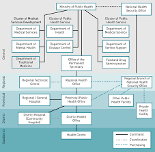 3 Organizational Structure And Interlinkages Between Moph