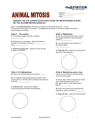 Maybe you would like to learn more about one of these? Animal Mitosis Juniata College