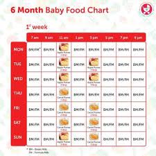 6 Months Baby Food Chart With Indian Recipes Paperblog