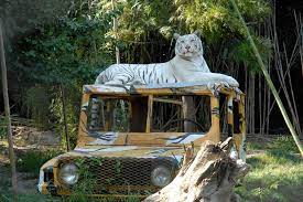 El buin zoo es el zoológico más grande de santiago de chile y ofrece mas de 38 sectores en los que encontraras diferentes. Como Vas A Conocer Parque Zoologico Buin Zoo Chile Facebook