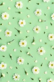 Customize and personalise your desktop, mobile phone and tablet with these free wallpapers! Aesthetic Green Floral Hd Wallpapers Posted By Sarah Simpson
