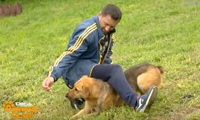 Digi animal world was launched on december 6, 2012 in romania and in hungary, it was launched on december 28, 2012. Romanian Prison Dogs Program On Digi Animal World Pet Stuff
