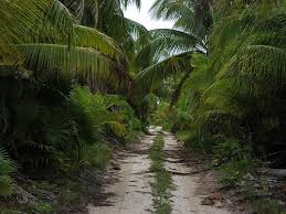 It was established in 1986 and became a unesco world heritage site in 1987. Sian Ka An Ermak Travel Guide