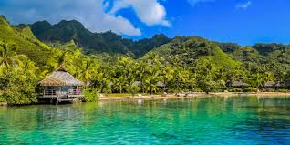 Image result for Mohria