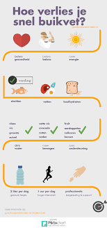 Afvallen Buik Hoe Verlies Ik Buikvet Goedkoopsnelafvallen Nl