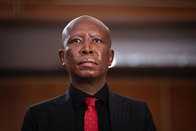The Malema Verdict: Is South Africa's Justice System on Trial? - Time Africa