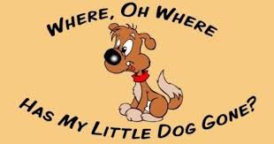 Where Oh Where Has My Little Dog Gone Sing Along Song For Children Kids Songs Sing Along Songs Songs