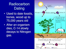 To determine the age of a dinosaur fossil, carbon dating can never be used. Ch 13 Clues To Earth S Past Ppt Download