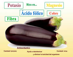 Guiainfantil.com nos ofrece recetas con berenjenas para niños. Dieta De La Berenjena Https Www 1001consejos Com