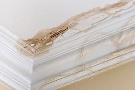 The overall experience of a building inspection from northside building and pest was really easy and professional. Top Five Reasons A Property Fails Building And Pest Inspections