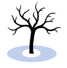To thrive, fruit bearing trees require a lot more nitrogen than other plants. Fertilizing Fruit Trees Unh Extension