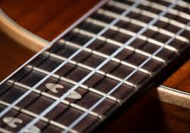 You can use the virtual piano to see and hear chords and scales on the keyboard to help you memorize them. Best Concert Ukulele Strings 2021 Buyer S Guide Into Strings