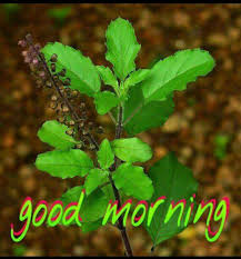 Pin By Sathya On Good Morning Good Morning Photos Good Morning Morning Pictures