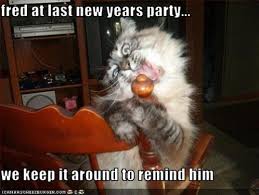 Happy Mew Year Funny Animal Quotes Funny Animals Cats