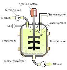 Regulatory and safety issues 7. Bioreactor Wikipedia