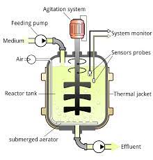 For example, as a rule, a bioreactor which has processed hybridoma or other animal cell culture broth is far easier. Bioreactor Wikipedia