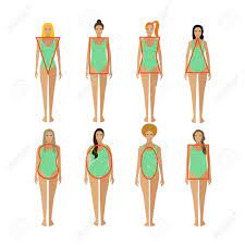 People with mesomorphic bodies often enjoy popularity and are seen at the forefront of things. Different Female Body Types Woman Body Figure Shapes Vector Royalty Free Cliparts Vectors And Stock Illustration Image 60047907