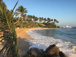 An der südwestküste bei beruwela reihen sich hotelanlagen und bungalowsiedlungen dicht aneinander. Der Mit Abstand Schonste Strand Im Suden Sri Lankas Bei Der Weltbesten Gastgeberin Rest Relax Tangalle Bewertungen Tripadvisor
