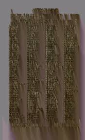 Image result for Centemopsis longipedunculata