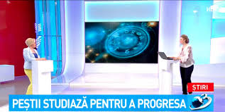 Cel mai cameleonic cântăreț din românia, mai sincer ca niciodată în platou la showbiz report! Horoscop 30 Aprilie 2018 6 Mai 2018 Camelia PÄƒtrÄƒÈ™canu InformaÈ›ii Pentru Fiecare Zodie Dcnews