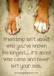 Are you ready for national pet parents day on april 25? Dog Quotes Love Best Friends Happy Doglove 22 In 2021 Dog Quotes Love Dog Quotes Dog Quotes Love Best Friends