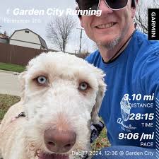 Detroit Free Press Marathon Runners