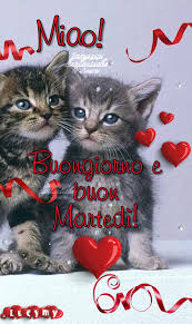 Pin Di Svetlana Rublevskaya Su Buongiorno Buongiorno Divertente Buongiorno Martedi Buongiorno Bellissimo