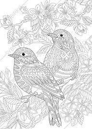 Pick up pencils and relax! Coloring Pages For Adults Lovely Birds Couple Spring Etsy Bird Coloring Pages Animal Coloring Pages Mandala Coloring Pages