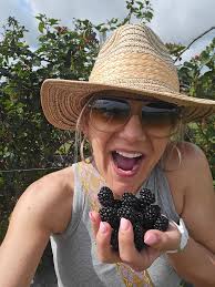 Picking fresh blackberries at Robin Farms in Church Point
