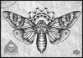 Moth Butterfly Dot By Pande Lee On Deviantart Moth Tattoo Design Moth Tattoo Butterfly Tattoo