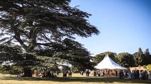 Check spelling or type a new query. Top 6 De Las Mejores Fincas Para Bodas En Madrid