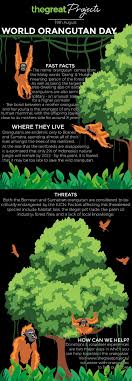 Pin By Ilham Andriansyah On Infographics Orangutan Critically Endangered Species Sumatran Orangutan