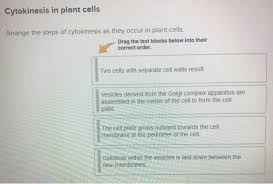 Check spelling or type a new query. Cytokinesis In Plant Cells Arrange The Steps Of Chegg Com