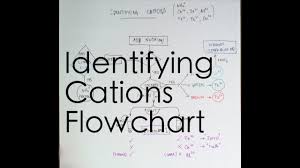 Flowchart For Identifying Cations