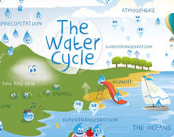 The Water Cycle For Kids Water Cycle Water Cycle For Kids Cycle For Kids